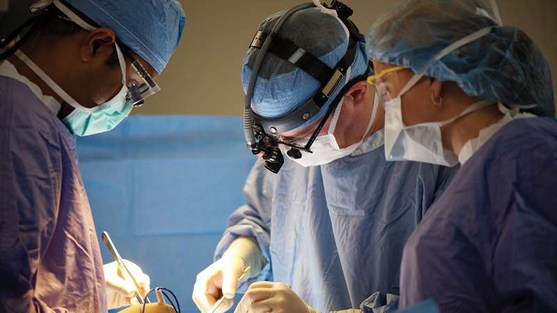 Bile Duct Cancer Treatment Options: Surgery, Chemotherapy & Beyond | Zeoby
